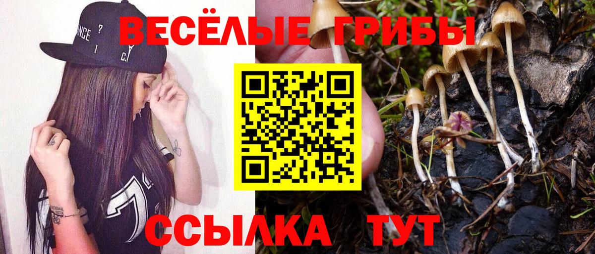 Галлюциногенные грибы ЛСД Оренбург