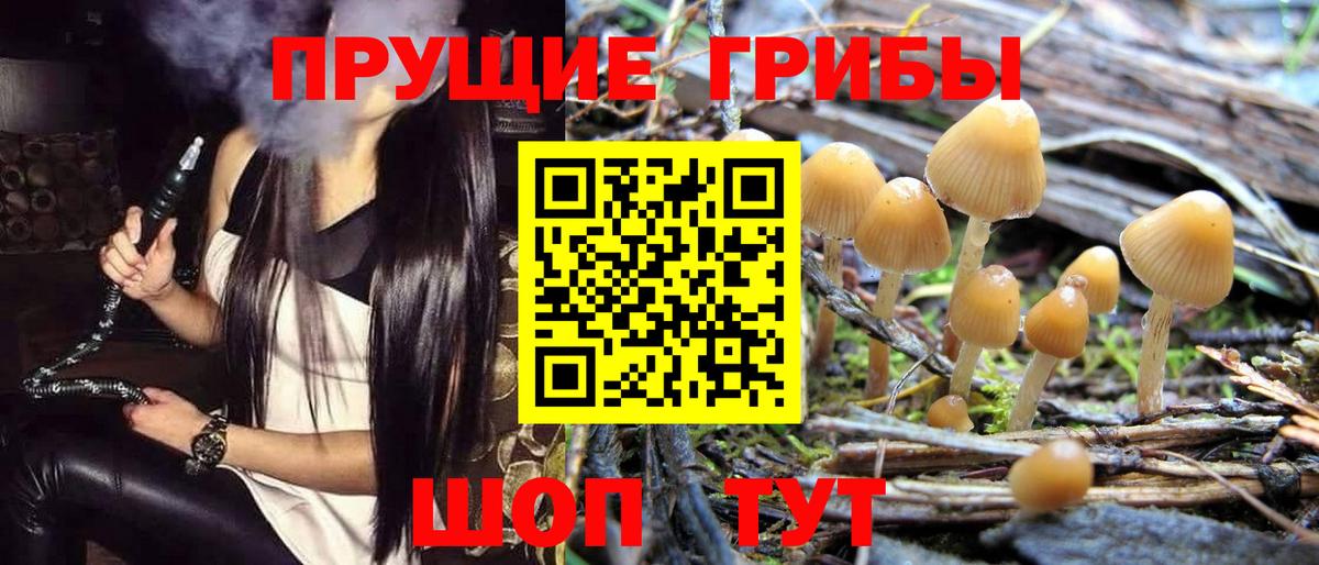 даркнет сайт  Псилоцибиновые грибы Psilocybe  Вход с VPN  Оренбург 
